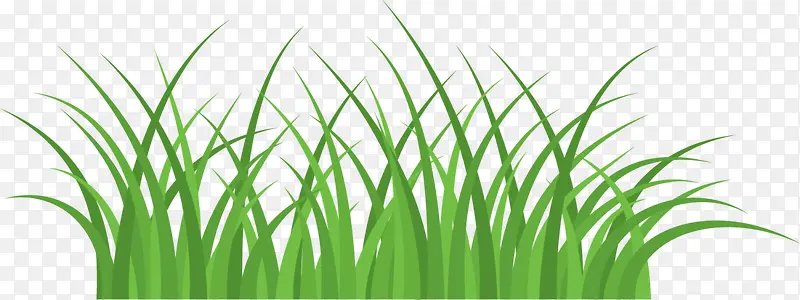 ��ɫ��������С��-������