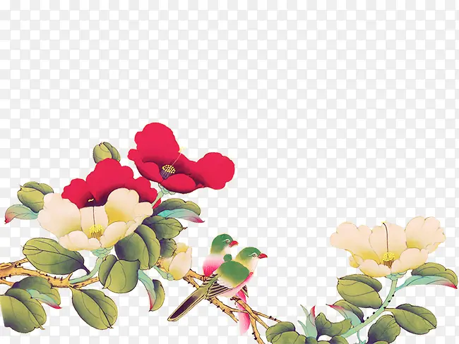 ���ﻨ��-������