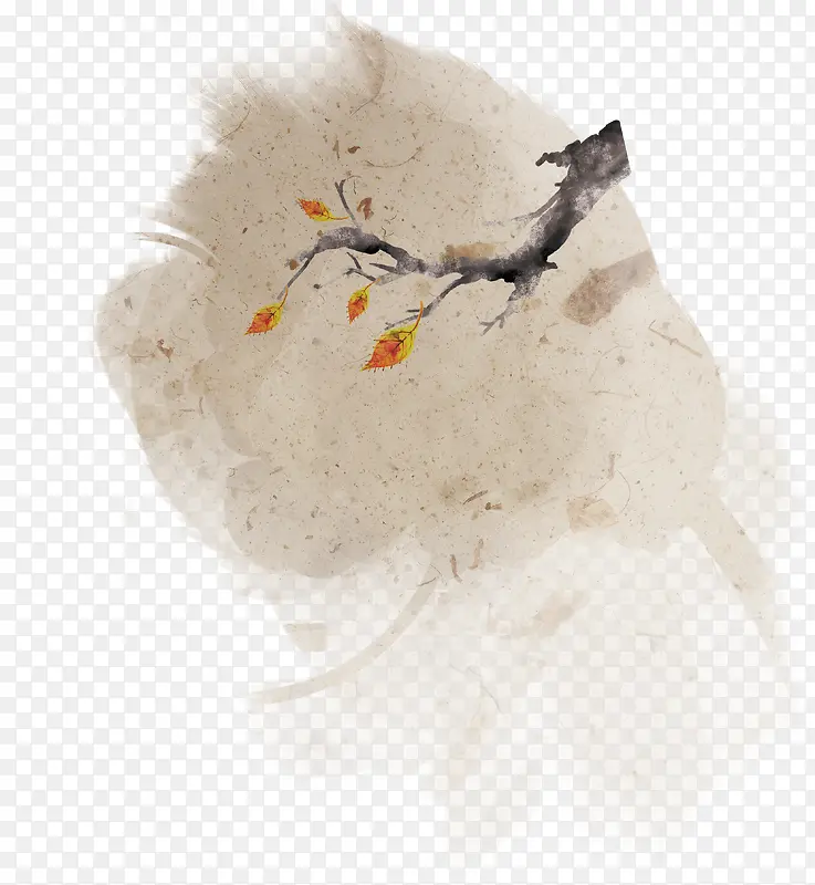 ÷����֦-������