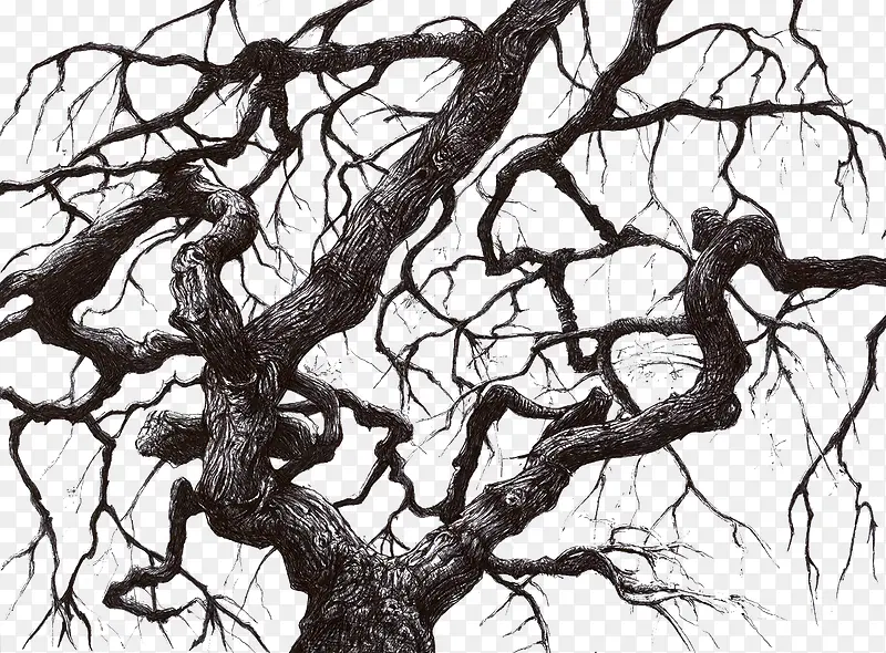 ��������֦-������