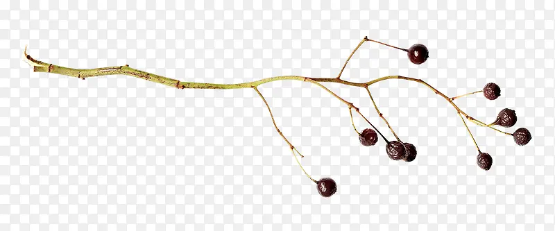 ֦��װ���ز�-������