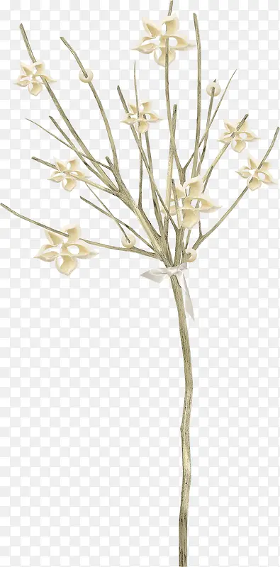 ֦���ز�ͼƬ-������