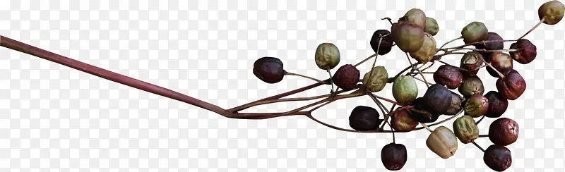 ��֦װ���ز�-������