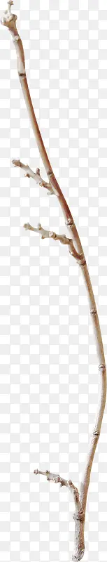 ��֦װ���ز�-������