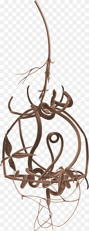 ��֦ͼƬ�ز�-������