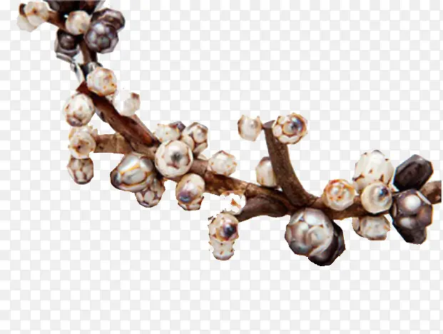 �ɻ���֦-������