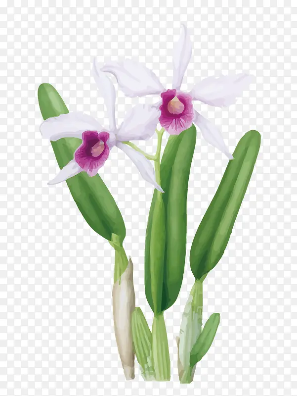 ʸ��ˮ�ɻ�-������