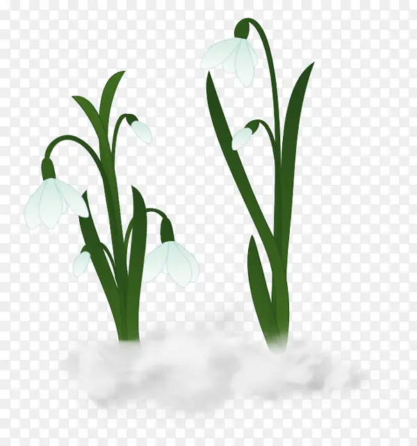 ��ͨˮ�ɻ��̲�װ��-������