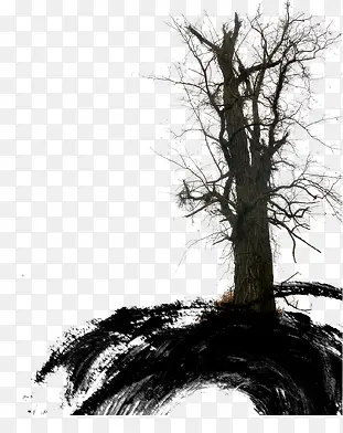 ˮī��ľ����-������