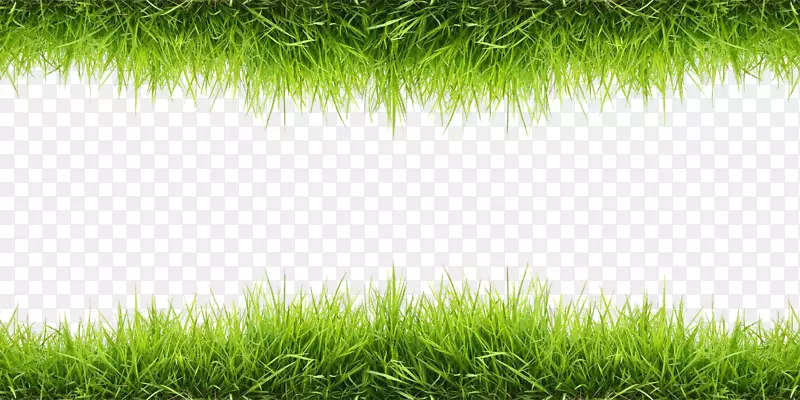 ��ֽ-��-������