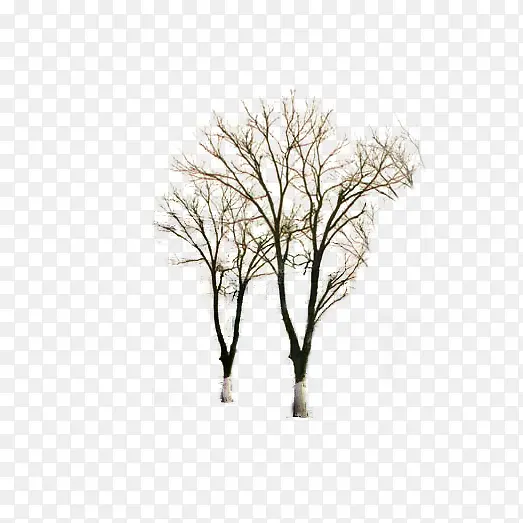 ��������-������