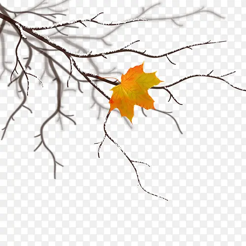 ������֦-������