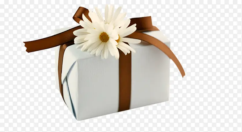 ʥ����װ��Ʒ��ɫ-������