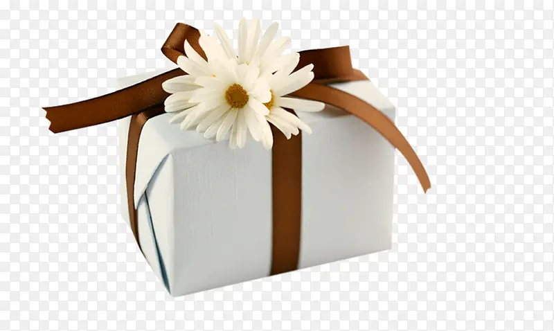 ʥ����װ��Ʒ��ɫ-������