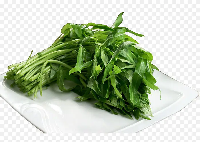 ���Ĳ�-������