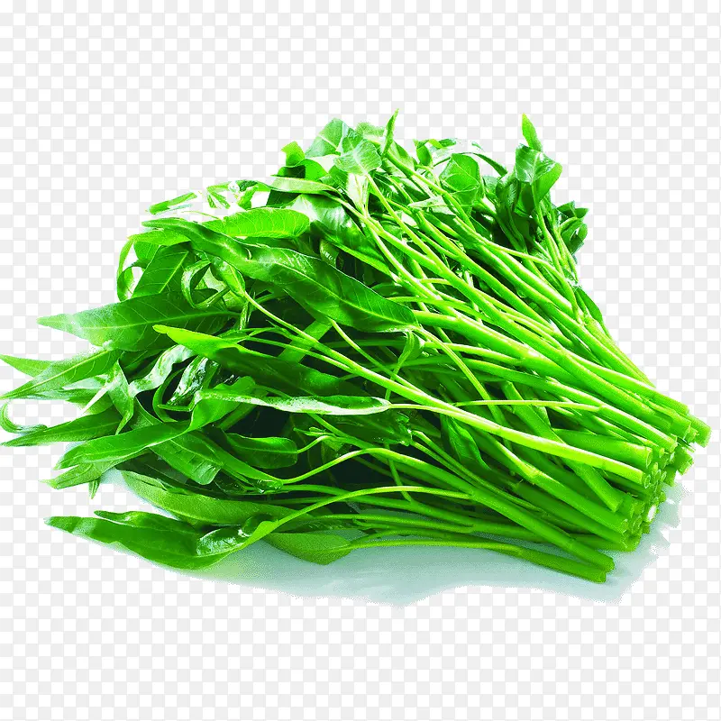 ���ʵĿ��Ĳ��ز�-������