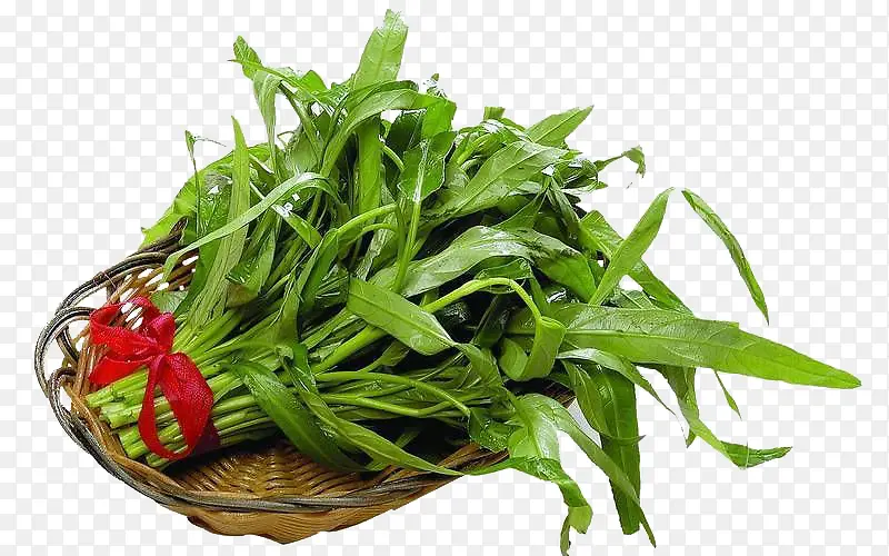 ���÷ŵ�������Ŀ��Ĳ�-������