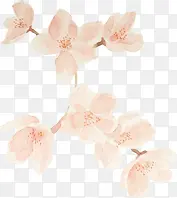 ˮ���һ�-������