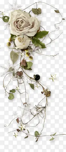 ��ɫõ�廨-������