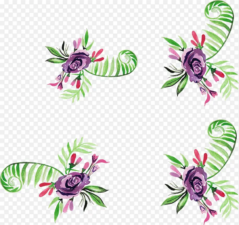 ˮ����ɫõ�廨��-������