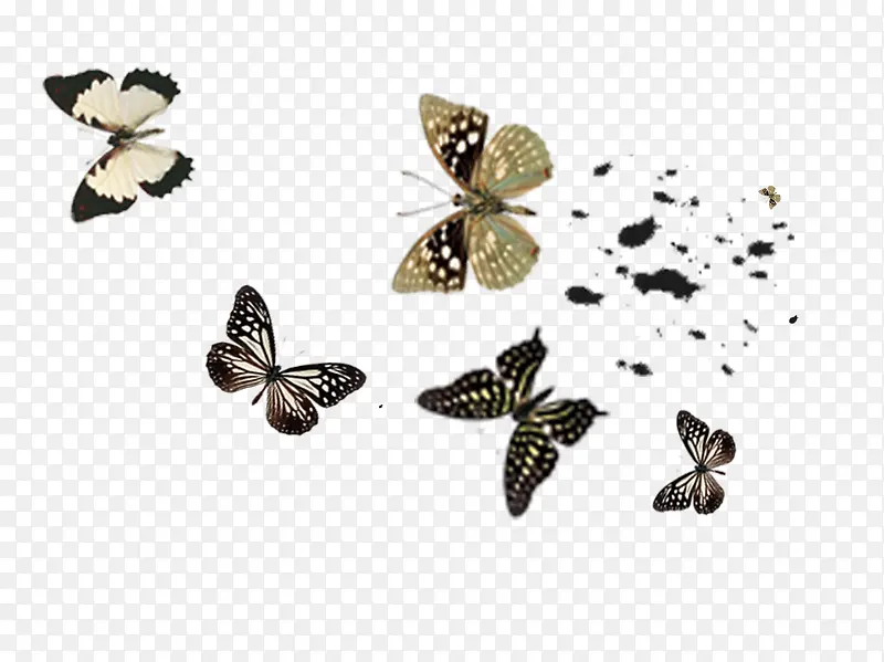 �������1-������