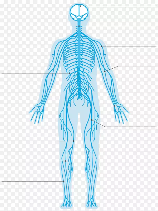 ������ϵͳ����ϵͳ-������