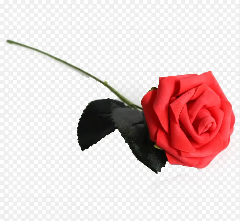 ����õ��-������