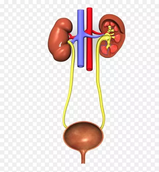 ��йϵͳ��·��Ⱦ�����������ֳϵͳ-��-������