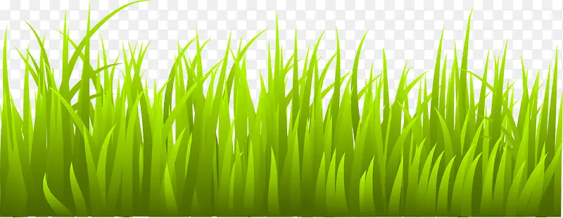 �����̲�-������