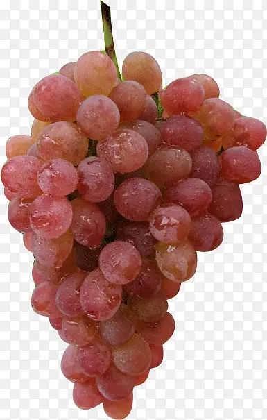 ˮ���ز�-������