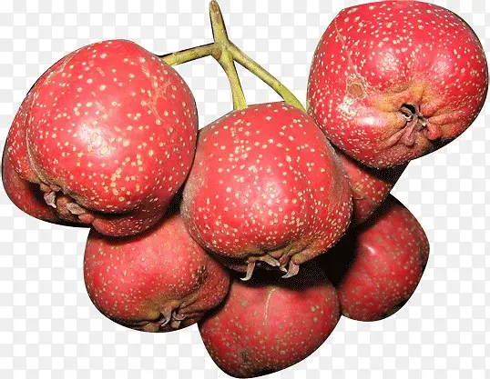 ˮ���ز�-������