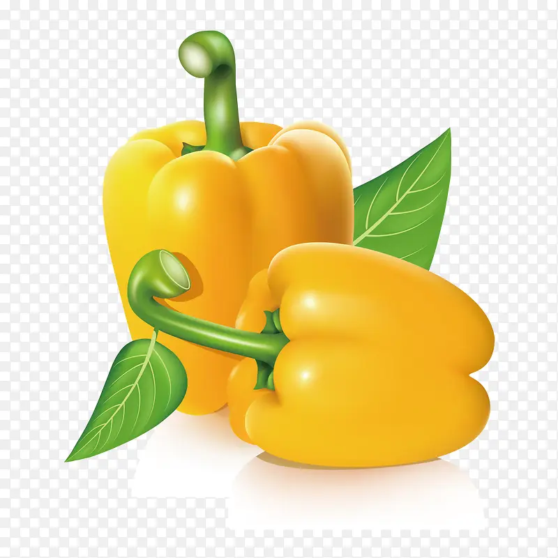 ʸ���ֻ�˽��ز�-������