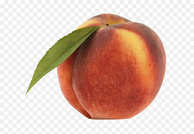 ����-������