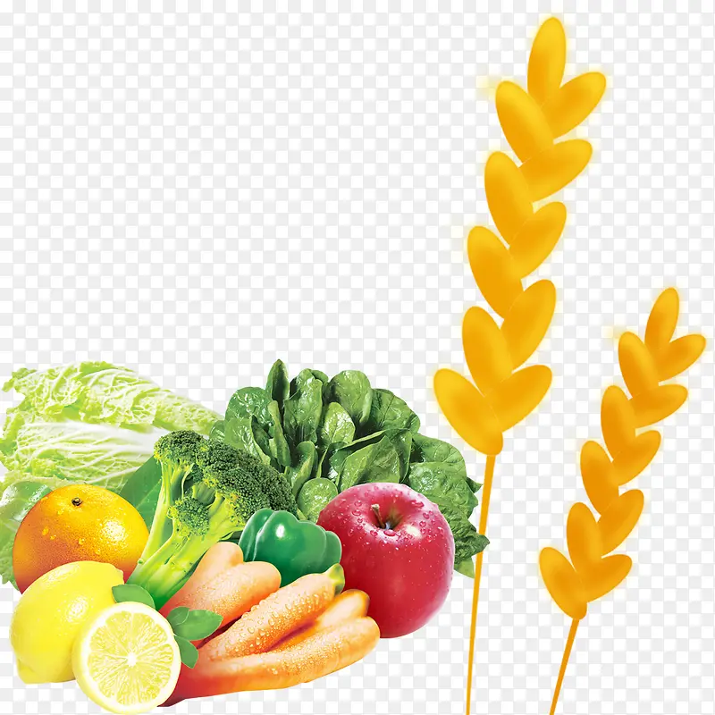 �Ϲ��߲˽��ɫ����-������