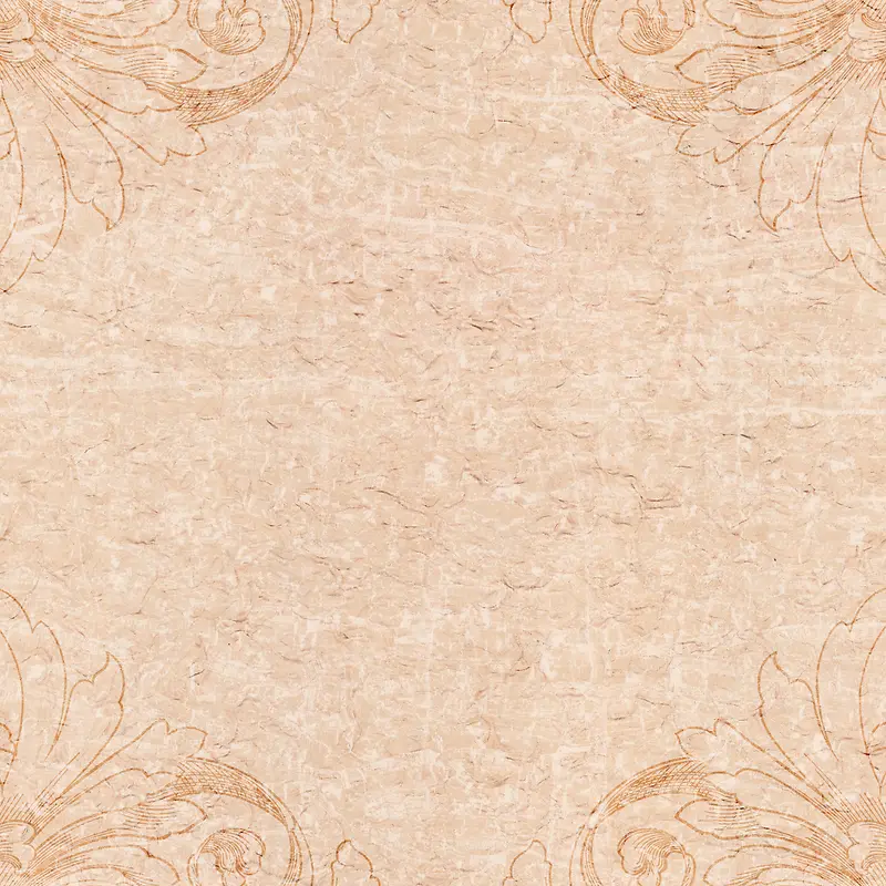 ���Ż��Ʊ���-������