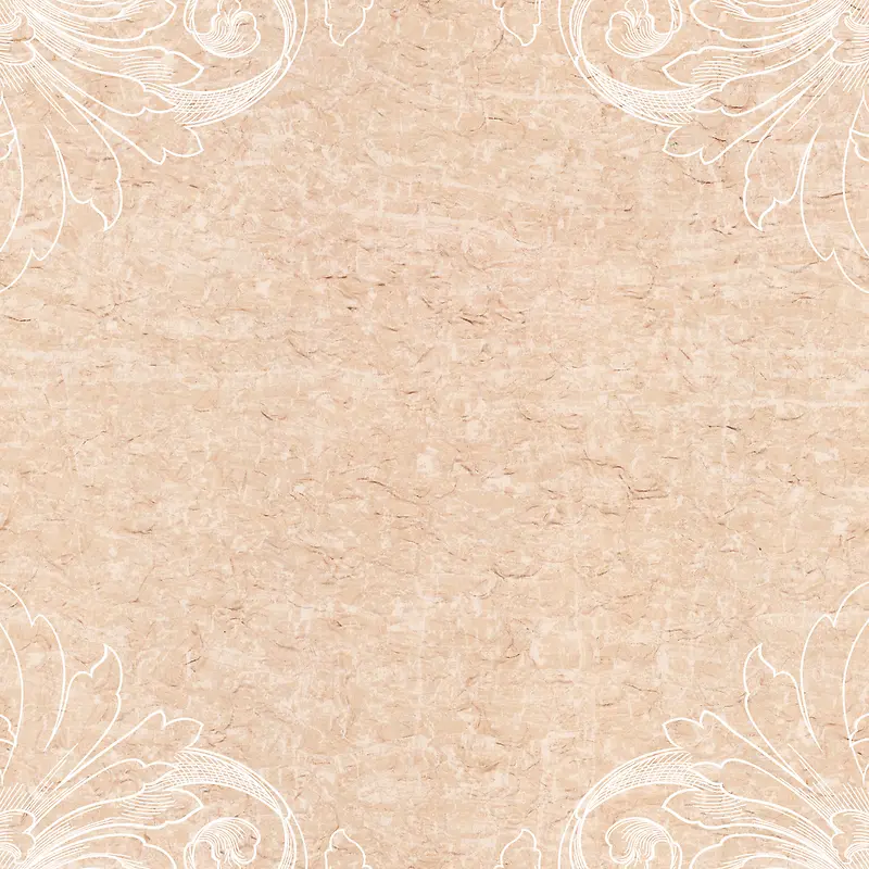 ���Ż��Ʊ���-������