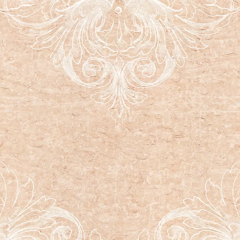 ���Ż��Ʊ���-������