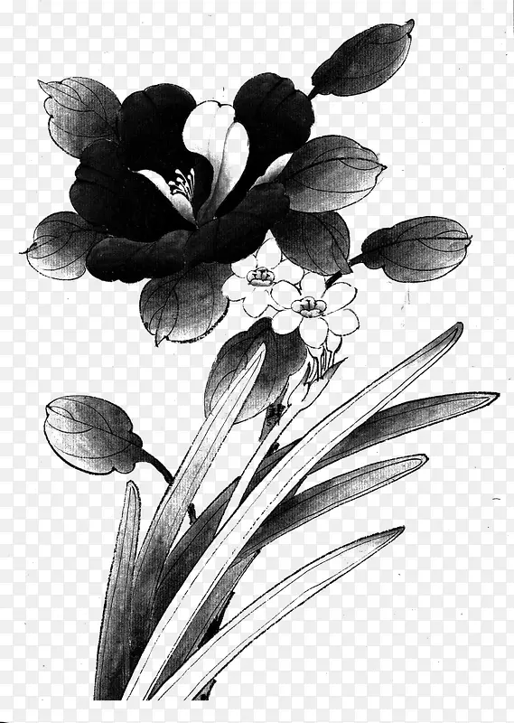 ĵ�����ŷ�廭���-������