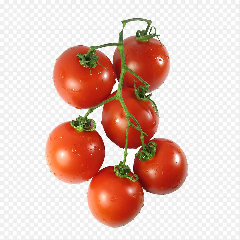 �������ز�-������