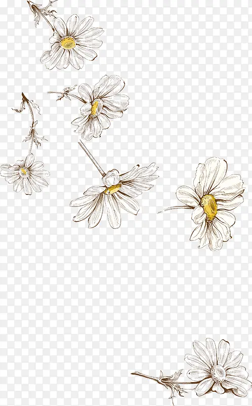 ʸ����ɫ����-������