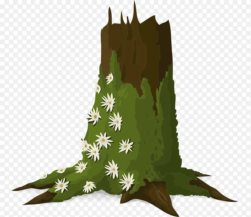 ���ղ�ɫС��-������