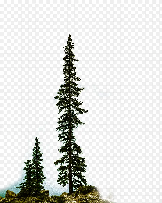 ��-�������Ƶķ���-������