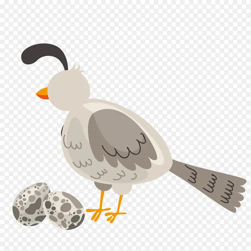 �ֻ�С��-������