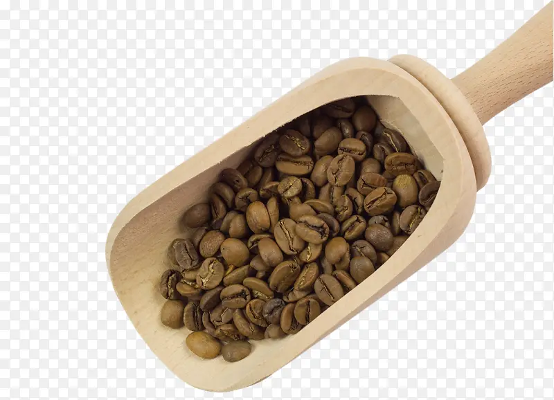 ���ȶ�-������