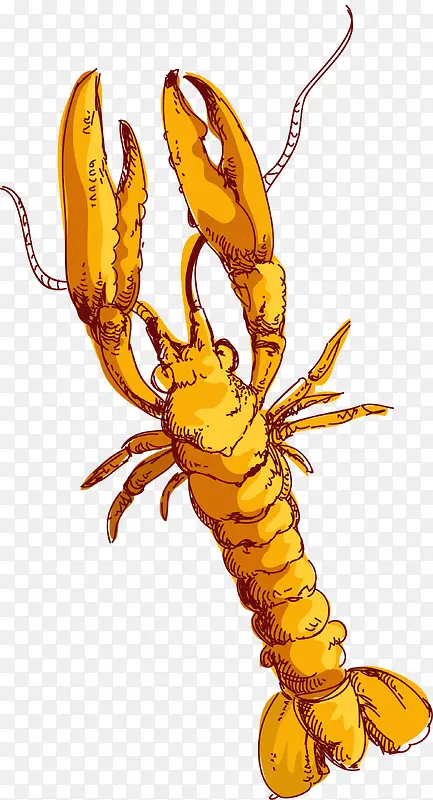 ��������Ϻʸ��ͼ-������