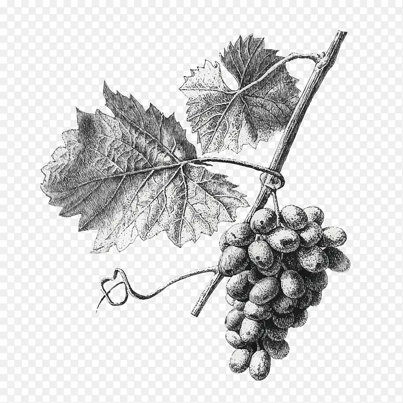 �ֻ�-������