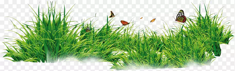 ���������ֽ������-����-������