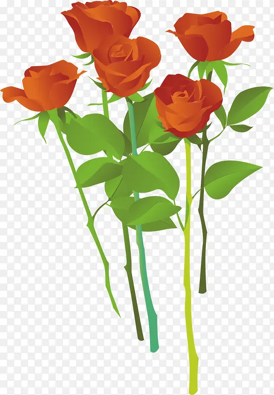 õ�廨-������