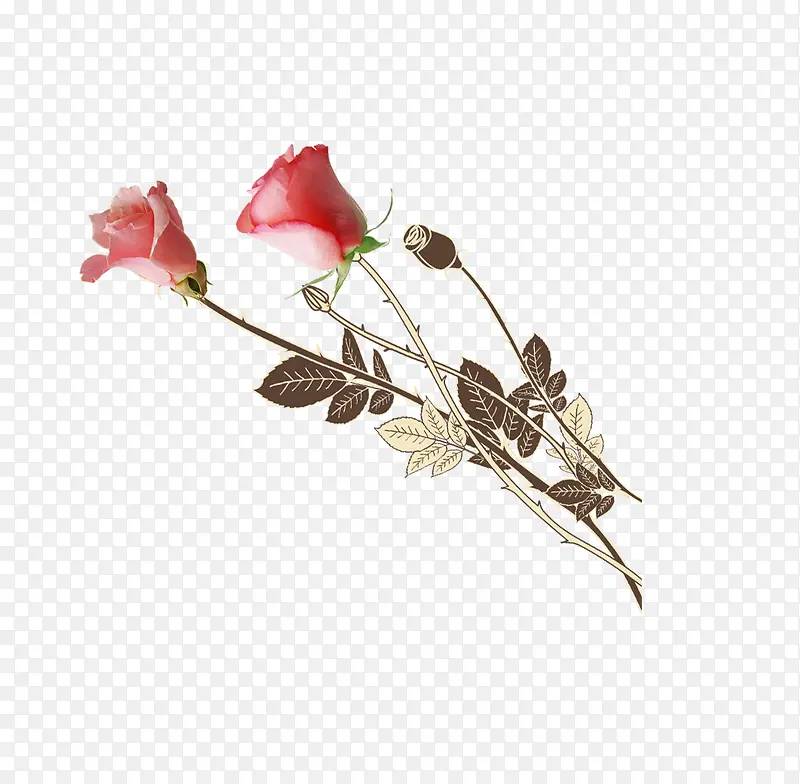 �ֻ�õ�廨png-������