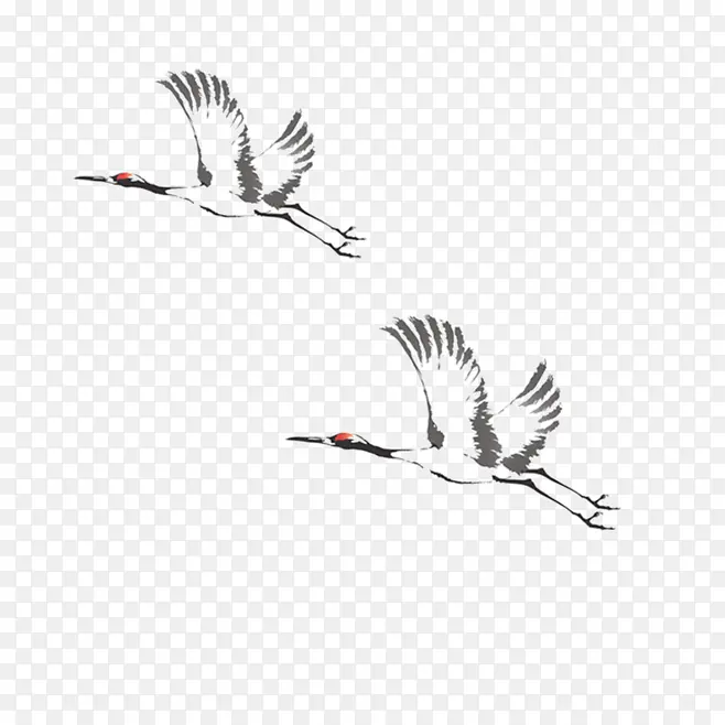 ������ɺ�-������